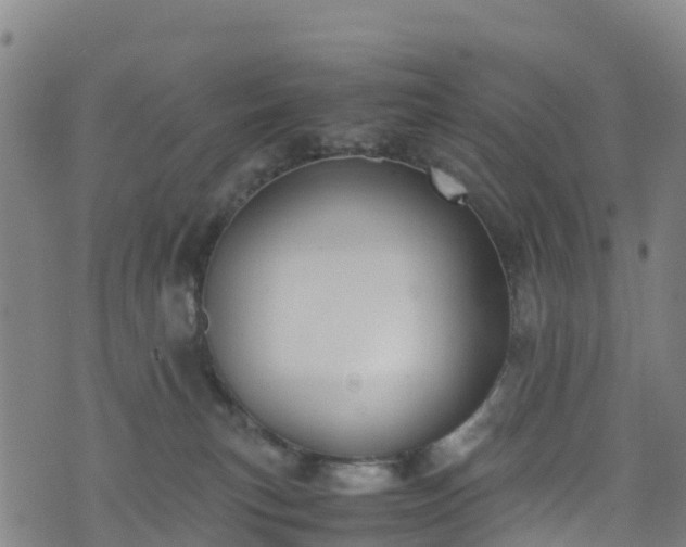 X0000072500183200607211259