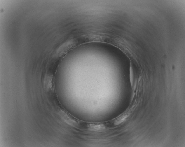 X0000072500185200607211259