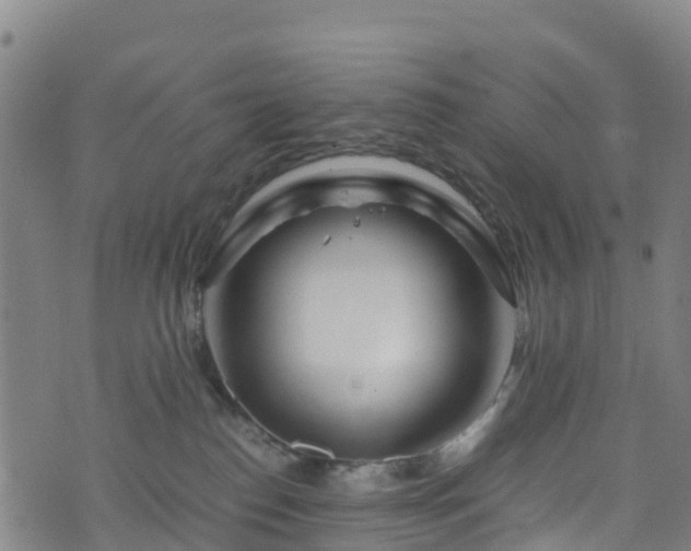 X0000072500186200607211259