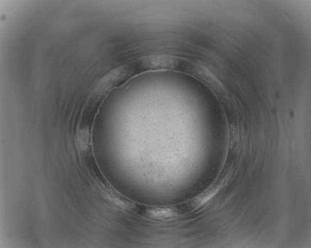 X0000072500189200607211259