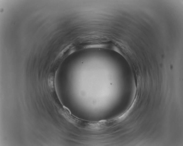 X0000072500190200607211259