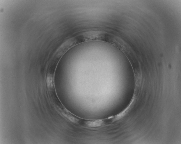 X0000072500191200607211259