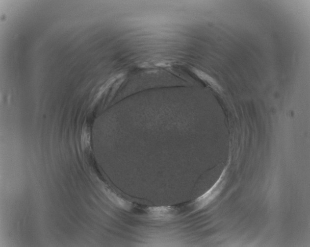 X0000072500192200607211259