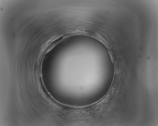 X0000072500193200607211258