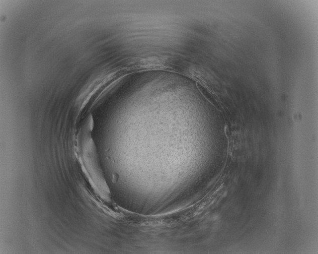 X0000072500194200607211258