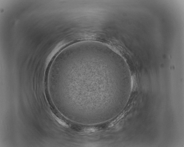 X0000072500195200607211258