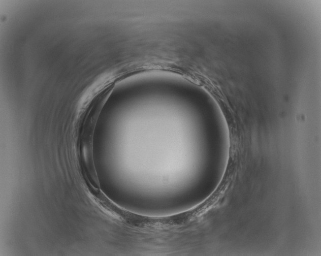 X0000072500197200607211258