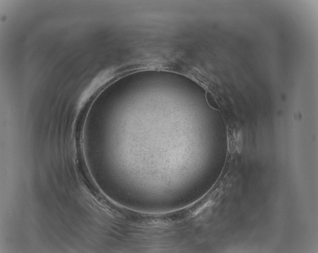 X0000072500198200607211258