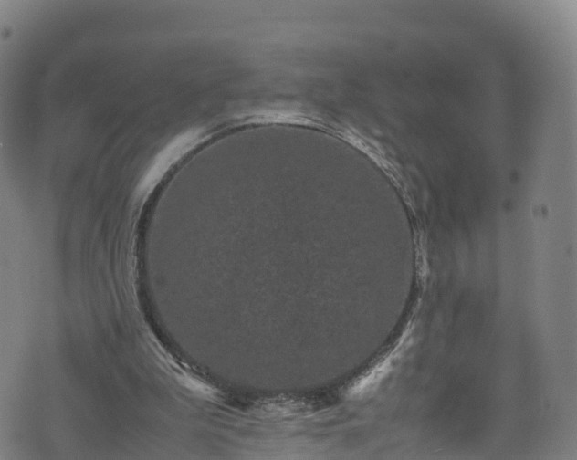 X0000072500199200607211258