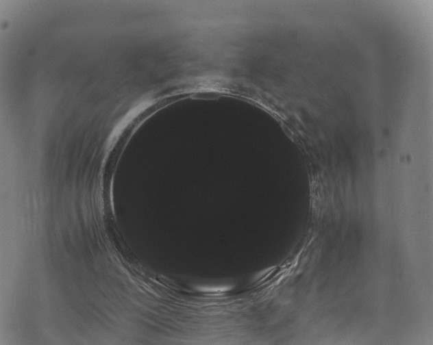 X0000072500200200607211258