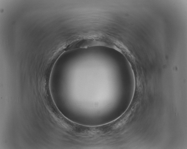 X0000072500201200607211258