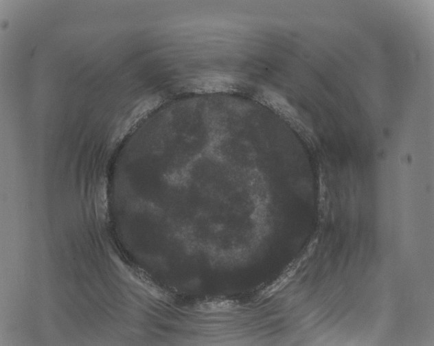 X0000072500202200607211258