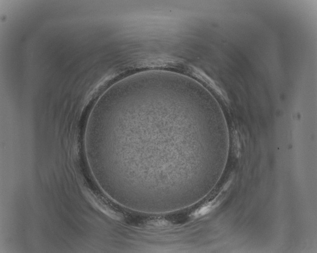 X0000072500203200607211258