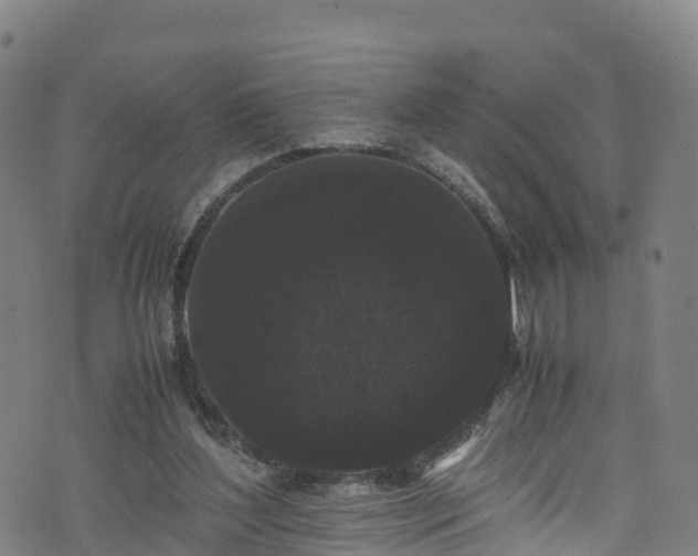 X0000072500204200607211258