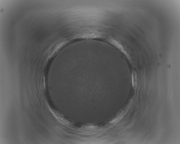 X0000072500205200607211258