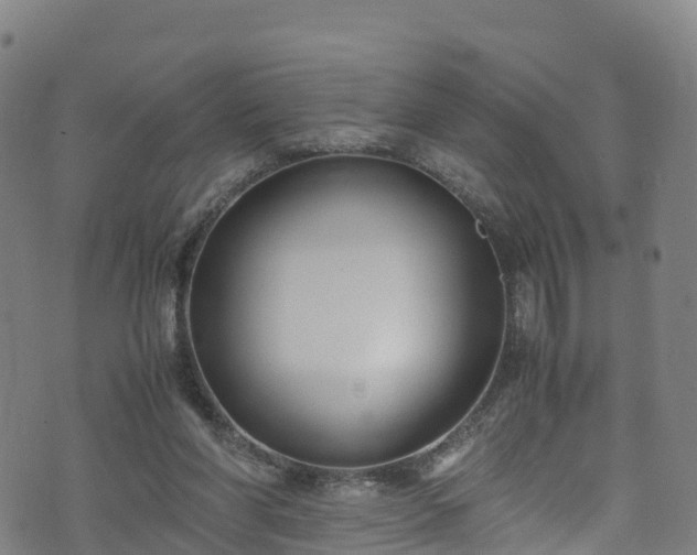 X0000072500206200607211258