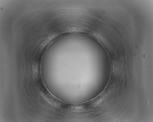 X0000072500208200607211258