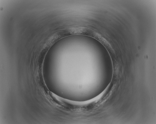 X0000072500209200607211258