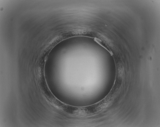 X0000072500211200607211258