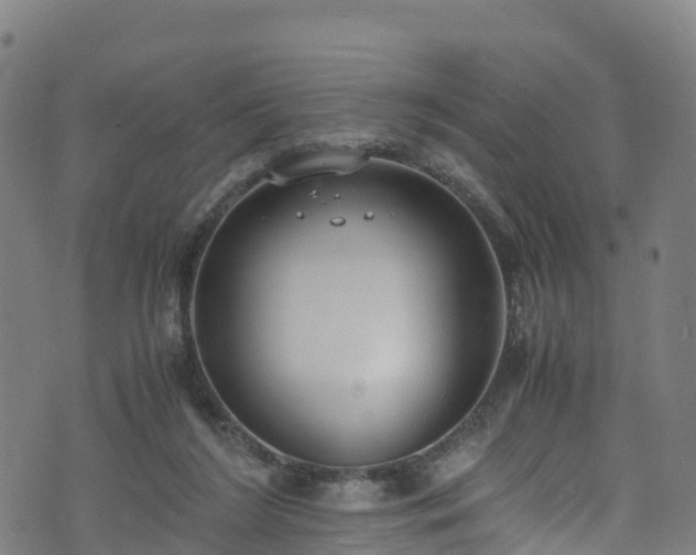 X0000072500212200607211258