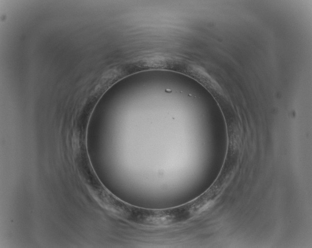 X0000072500213200607211258