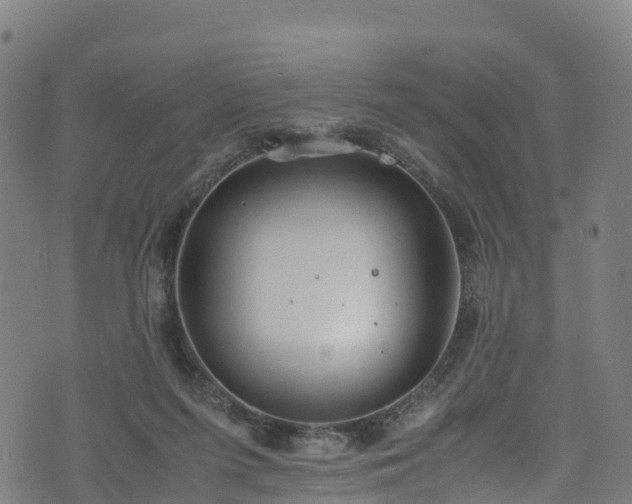 X0000072500215200607211258