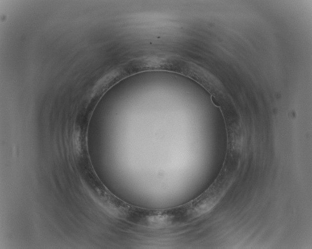 X0000072500216200607211258