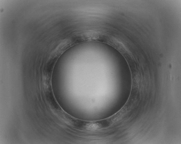 X0000072500218200607211258