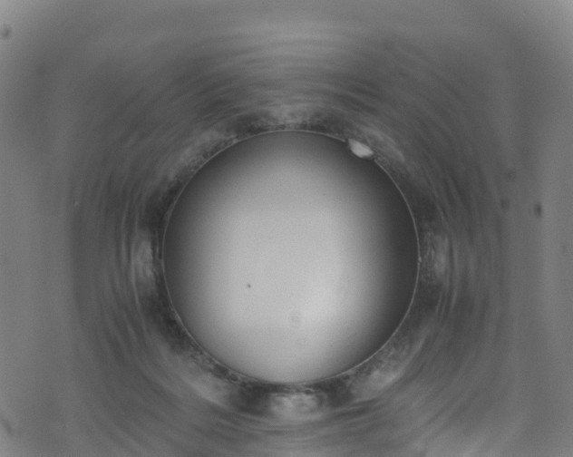 X0000072500220200607211258