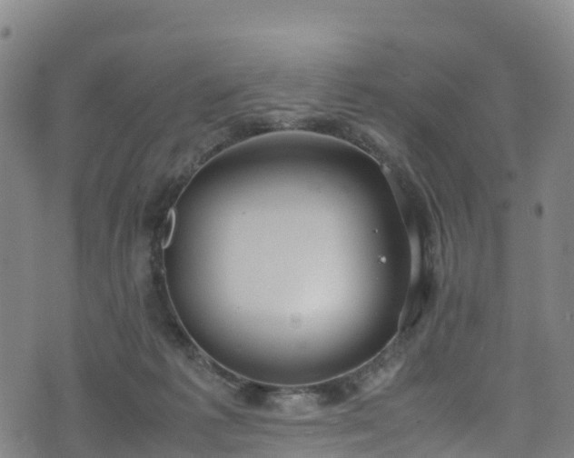 X0000072500221200607211257