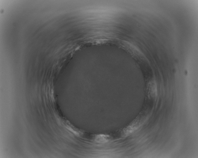 X0000072500222200607211257