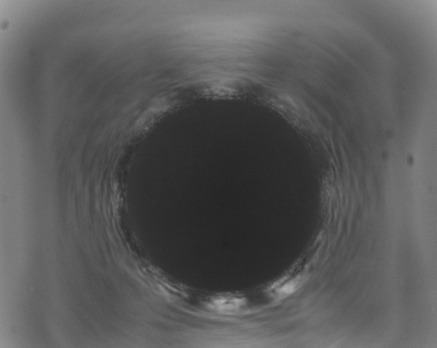 X0000072500223200607211257