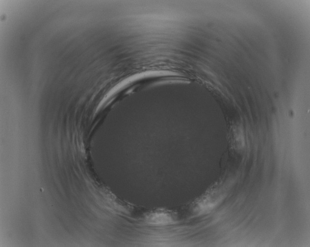 X0000072500224200607211257