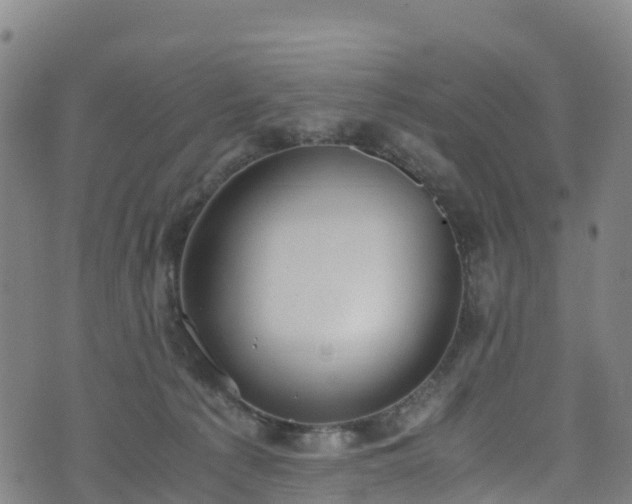 X0000072500225200607211257