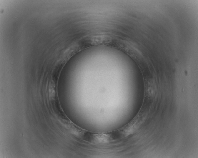 X0000072500226200607211257