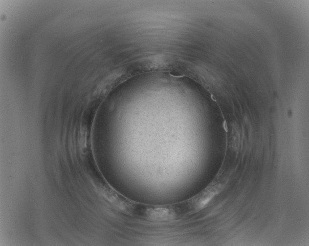 X0000072500230200607211257