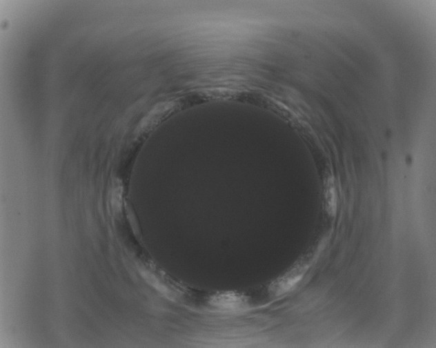 X0000072500231200607211257