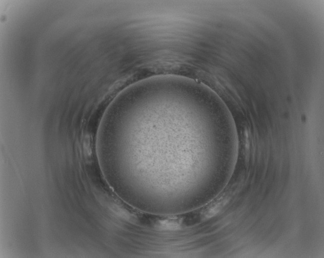 X0000072500232200607211257