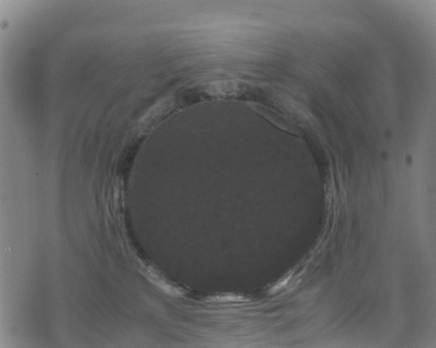 X0000072500233200607211257