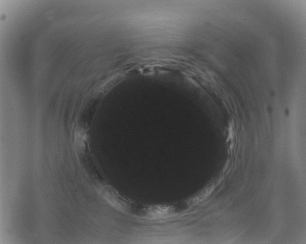 X0000072500235200607211257