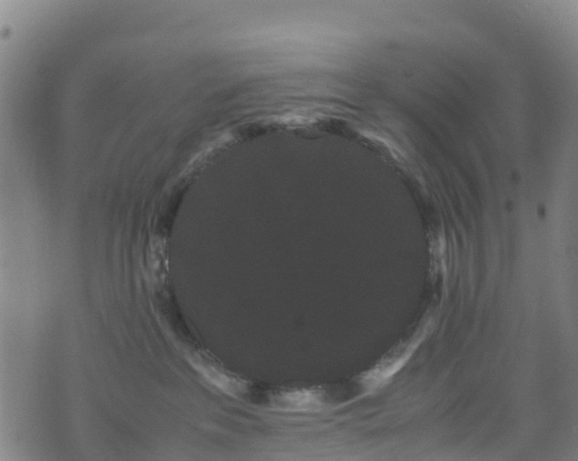 X0000072500237200607211257