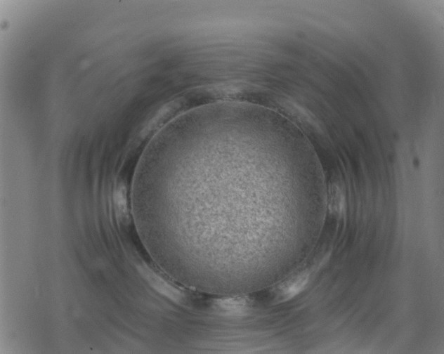 X0000072500238200607211257