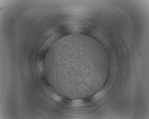 X0000072500240200607211257