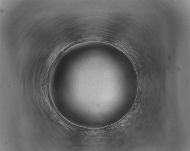 X0000072500241200607211256