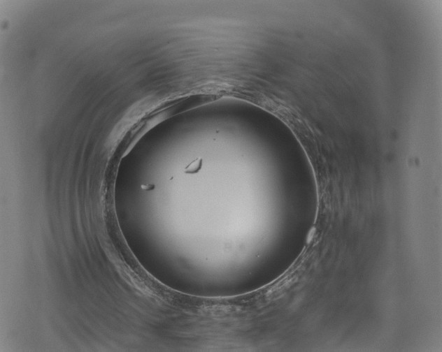 X0000072500242200607211256