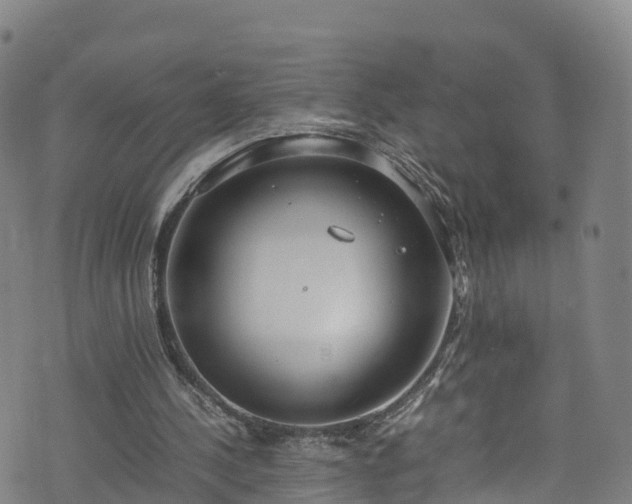 X0000072500244200607211256