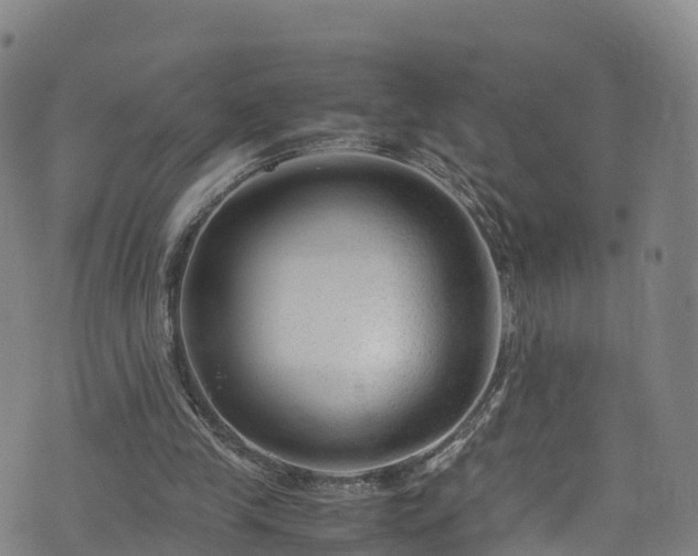 X0000072500245200607211256