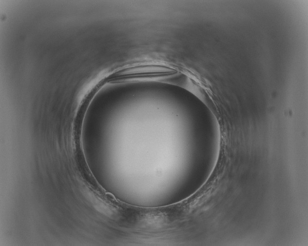 X0000072500248200607211256