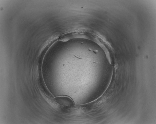 X0000072500250200607211257