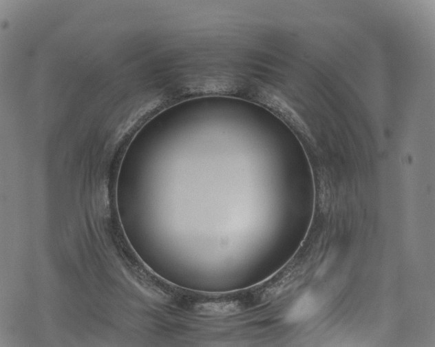 X0000072500251200607211257